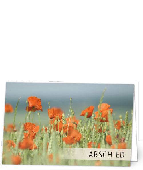 Mohn im Kornfeld