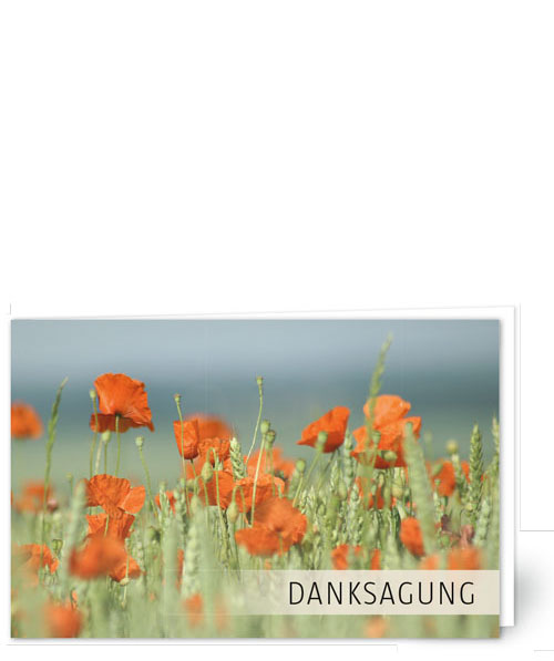 Mohn im Kornfeld